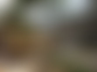 Welcoming the Microhouse from World Urban Forum 2018