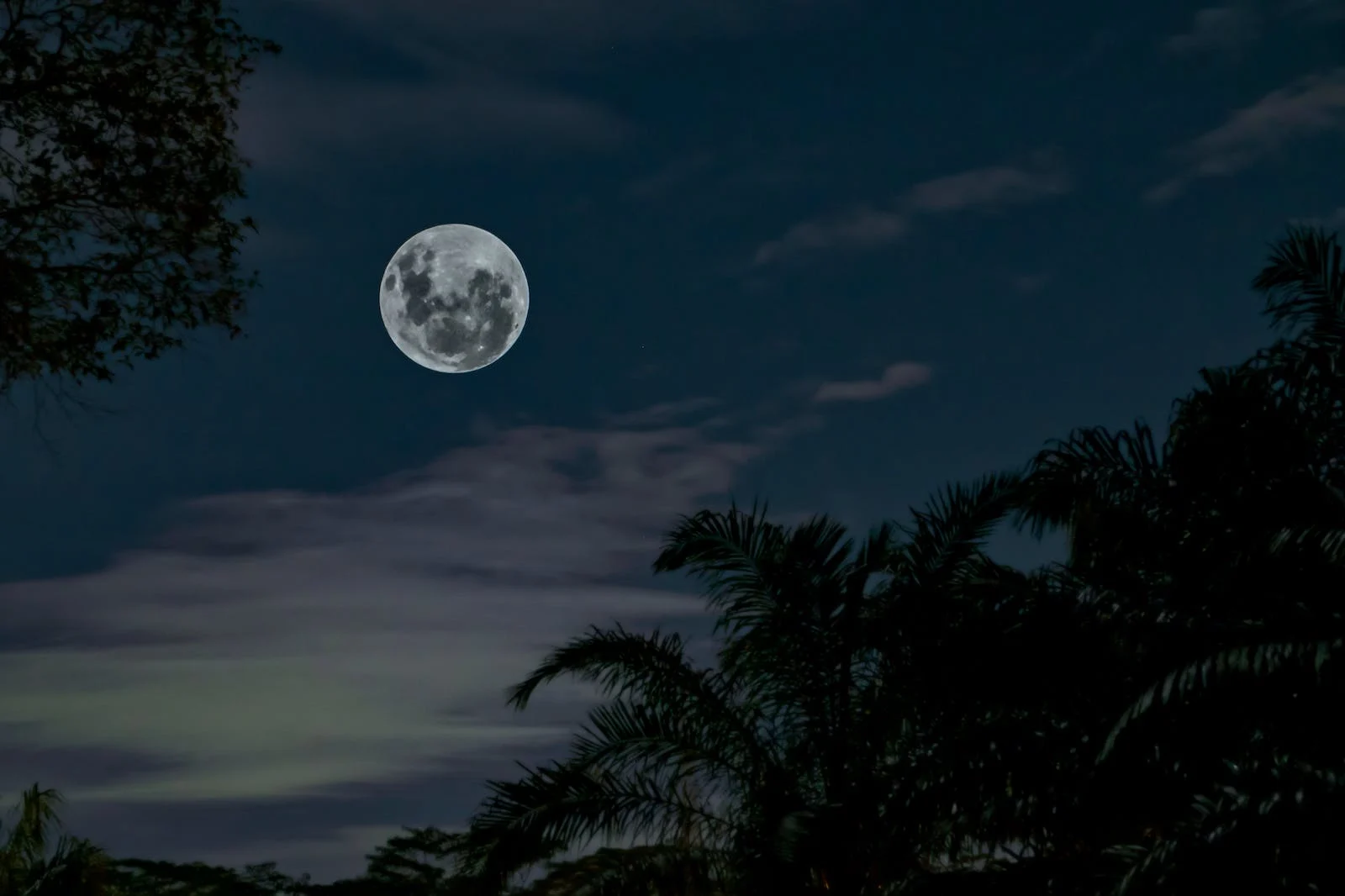 Full Moon Fire Circle
