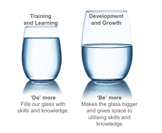 Be more Do more leadership development Satori OD