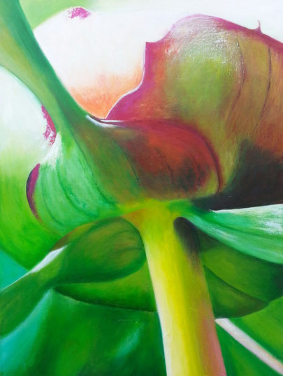 Anke Holzwarth | DE