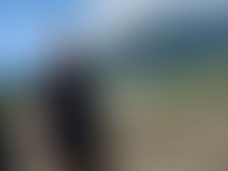 My Plan for "Staying in Shape" This Summer