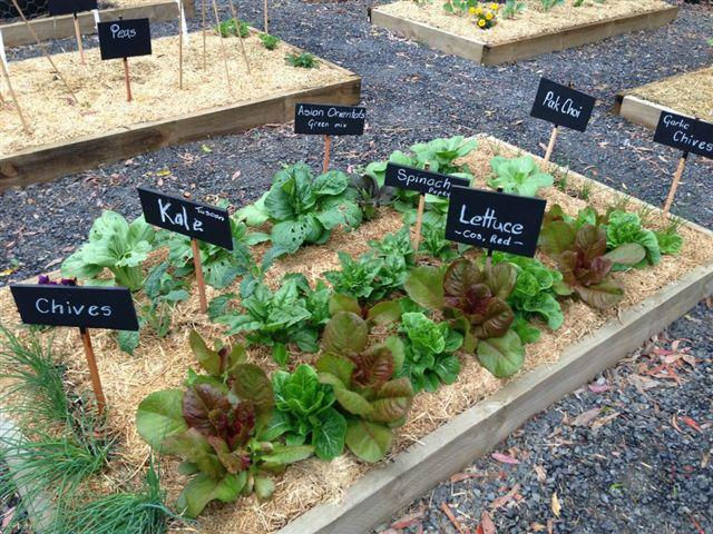 Thumbnail: Outdoor Classroom Resources