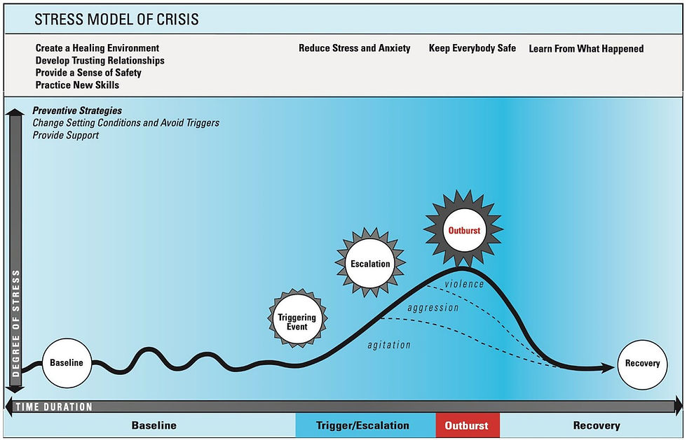 Therapeutic Crisis Intervention Stress Model of Crisis