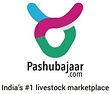Logo_edited.jpg