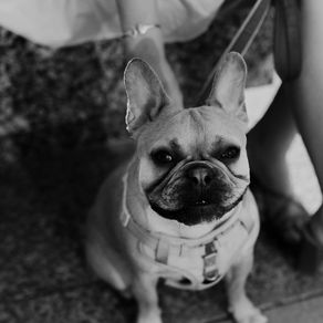 finnigan charles githens-galeazzi