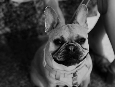 finnigan charles githens-galeazzi