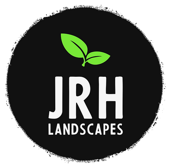 Color logo - no background.PNG