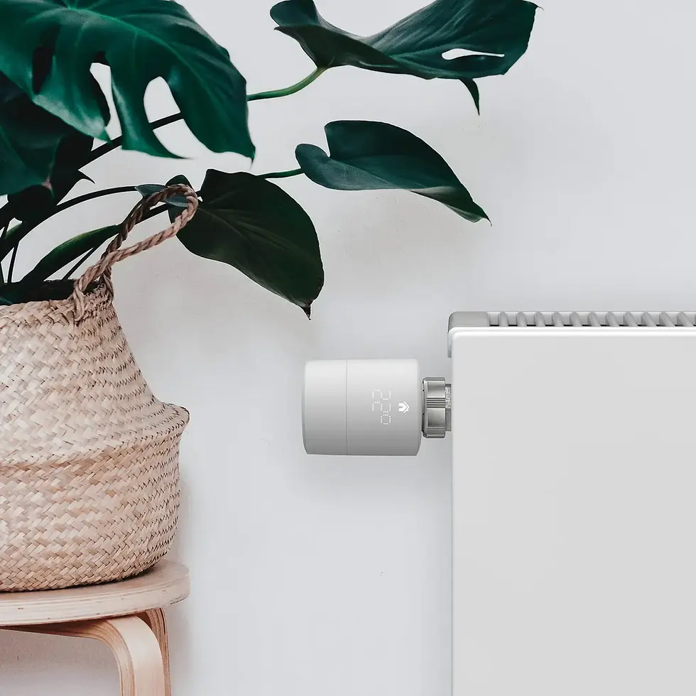 Intilligentes Thermostat