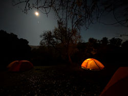 PXL_20251207_064306340.NIGHT.RAW-01.COVER