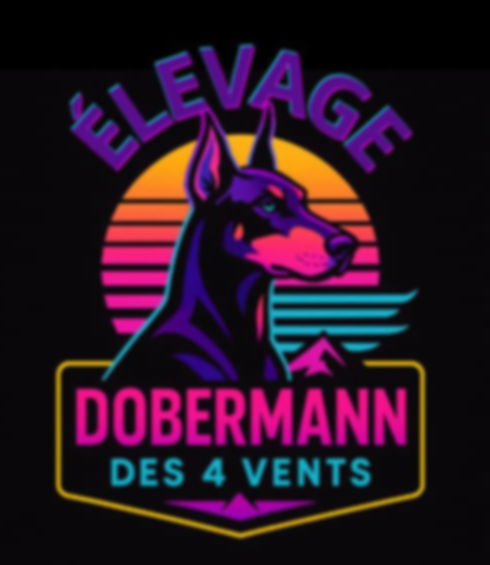 logo3_edited.jpg