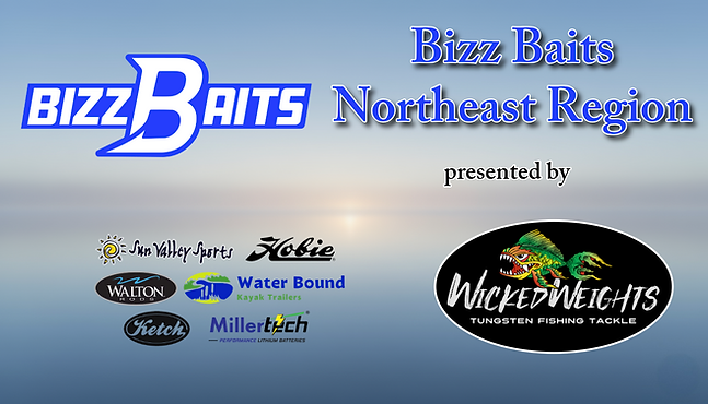 NE Region Graphic (1).png