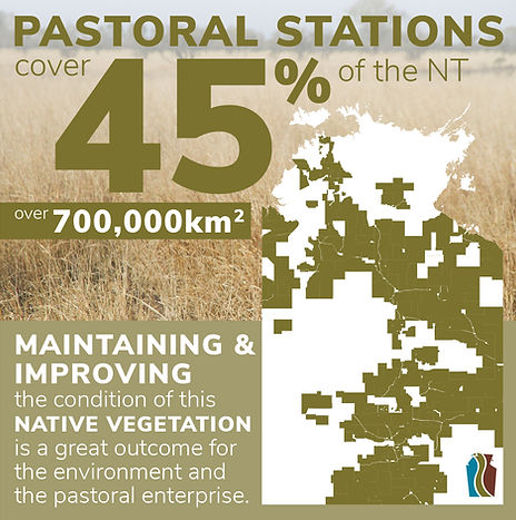 TNRM Pastoral Infographic_Pastoral stati