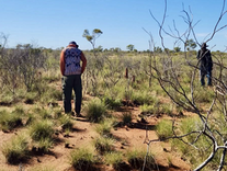 TNRM Newsletter - February 2026 edition