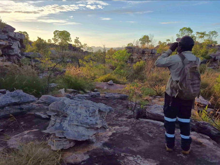 TNRM Newsletter - May 2026 edition