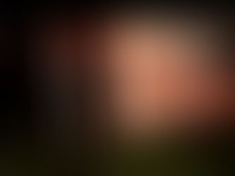 Xaxim-Carreta tomba nas margens da BR-282