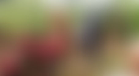 HOMEM MORRE SOTERRADO EM SÃO MIGUEL DO OESTE