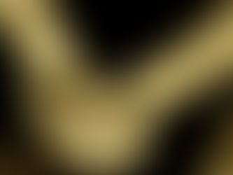 POLÍCIA CIVIL, ATRAVÉS DA DIC DE CHAPECÓ, PRENDE MULHER POR HOMICÍDIO QUALIFICADO E HOMEM POR FURTO