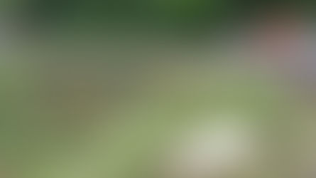 Jardinópolis-Acidente com vítima fatal