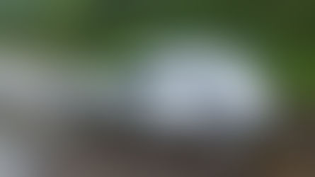 Quilombo / Santiago do Sul-Condutor perde controle de veículo e sai da pista