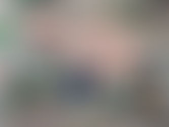 Árvore cai sobre quarto e casal escapa com ferimentos leves