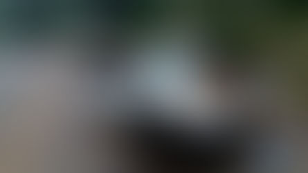 Mulher fica ferida após capotar veículo na SC-150 em Ouro