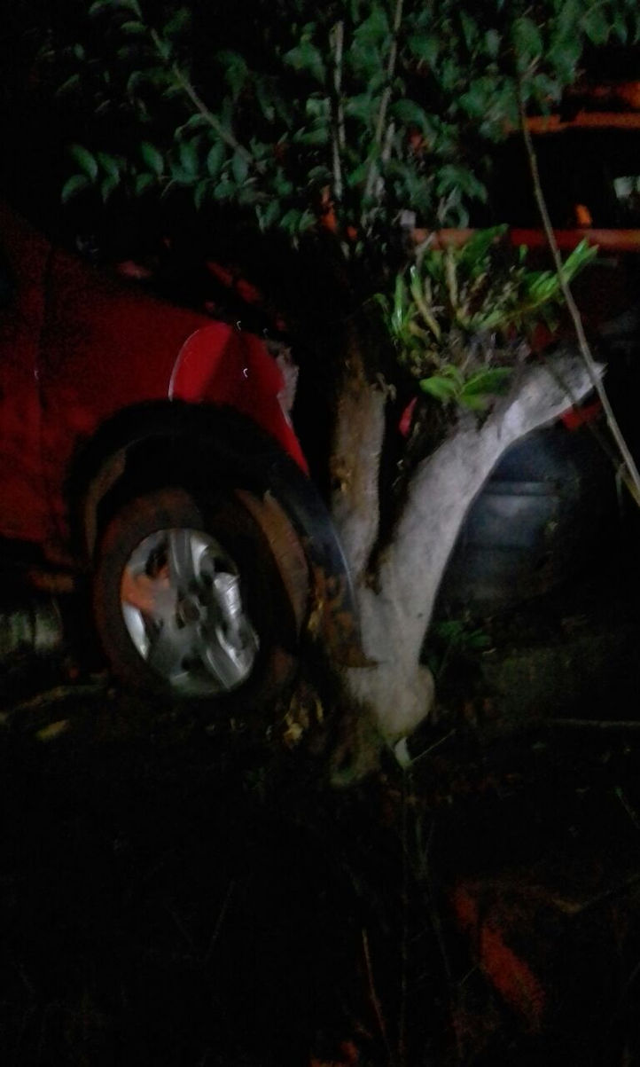 Coronel Freitas-Motorista perde o controle bate em árvore e tem veículo apreendido pela PM