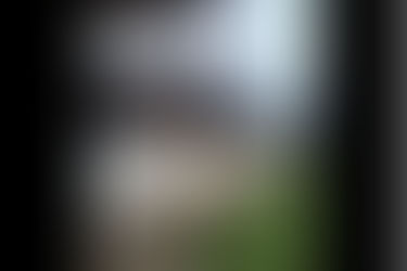 REBELIÃO DEIXA 52 MORTOS NO PRESÍDIO DE ALTAMIRA,SUDOESTE DO PARÁ