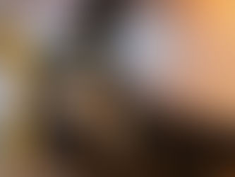 Pai e filho são presos com mais de 300 quilos e maconha em caminhão de mudança