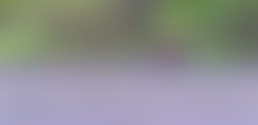 CORONEL FREITAS-MOTOCICLISTA MORRE APÓS COLIDIR CONTRA CAMINHÃO NA SC 157