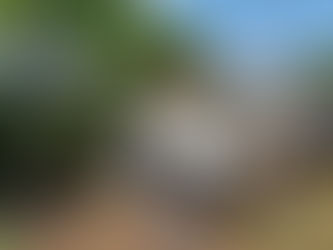 ACIDENTE NA SC 157 DEIXA UMA PESSOA FERIDA