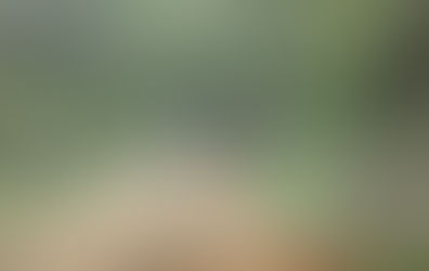 Saudades / Nova Erechim-Motorista morre ao ser atropelado pelo próprio caminhão