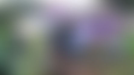 Novo Horizonte-Saída de pista com colisão em residência