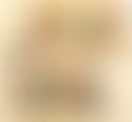 Idoso é preso em SC ao tentar subornar policial com R$ 50 para burlar multa por dirigir de chinelo