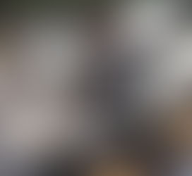 Marido morre em acidente de carro três dias após suspeita de matar mulher a tiros