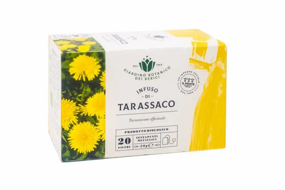 Infuso di tarassaco Giardino Botanico dei Berici