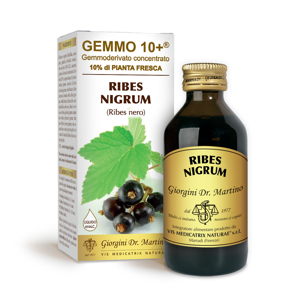 Ribes Nero G10+ (Ribes nigrum) liquido analcoolico