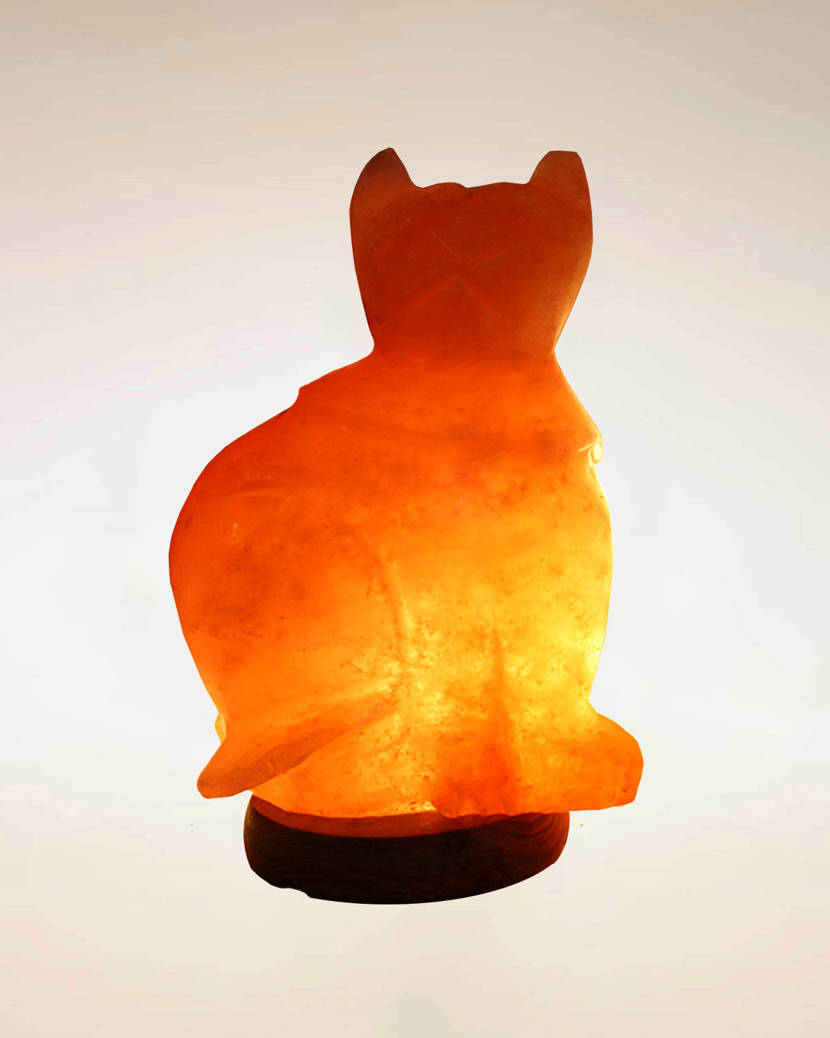 Lampada di sale rosa - Gatto