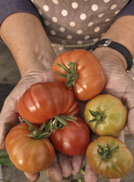 37783765-24c3-4889-8fcf-9e31fcfa7be5_edi