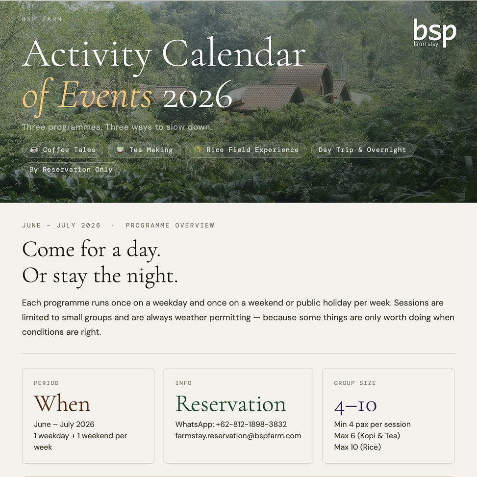 Seasonal Programmes (18 of 18).jpg
