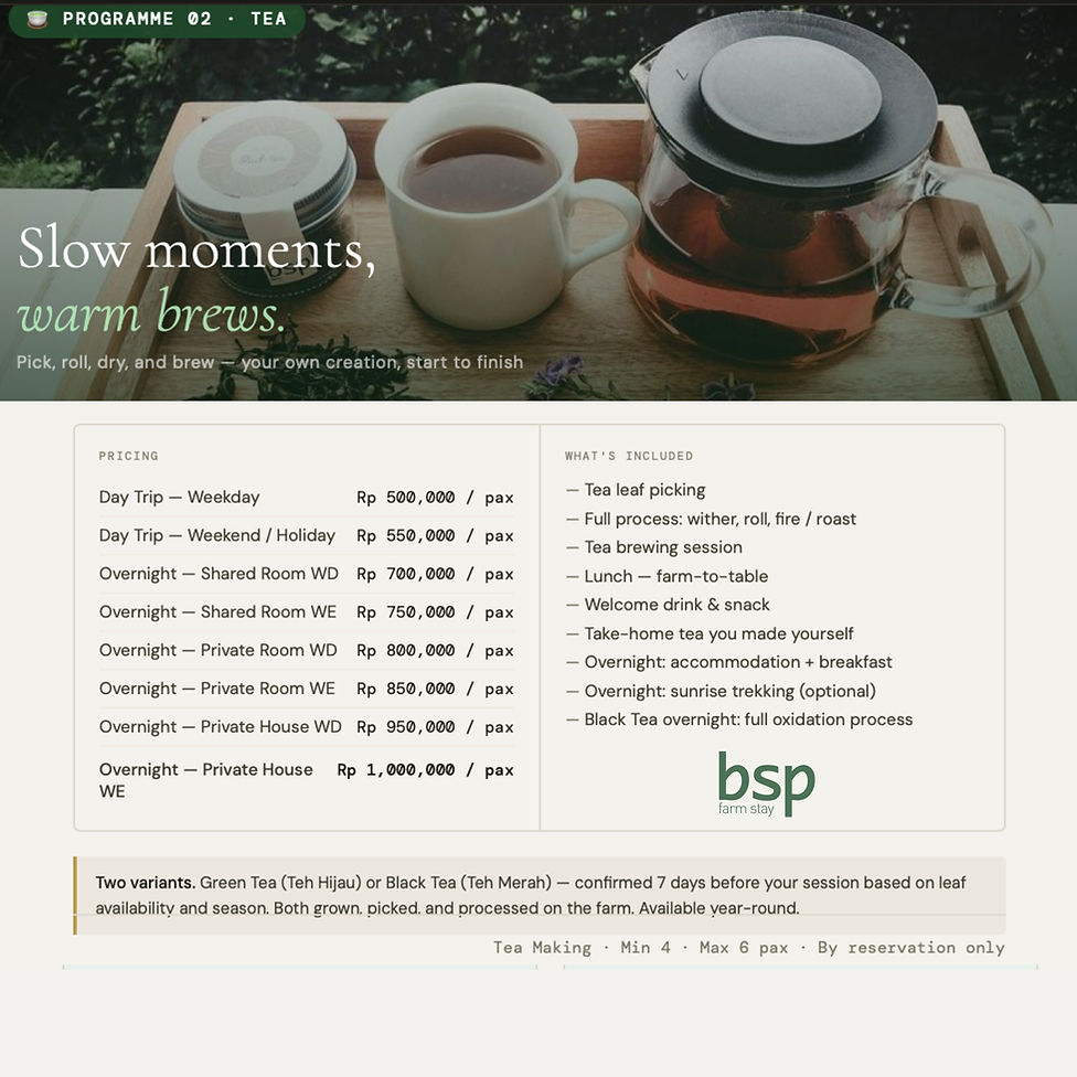 Seasonal Programmes (13 of 18).jpg