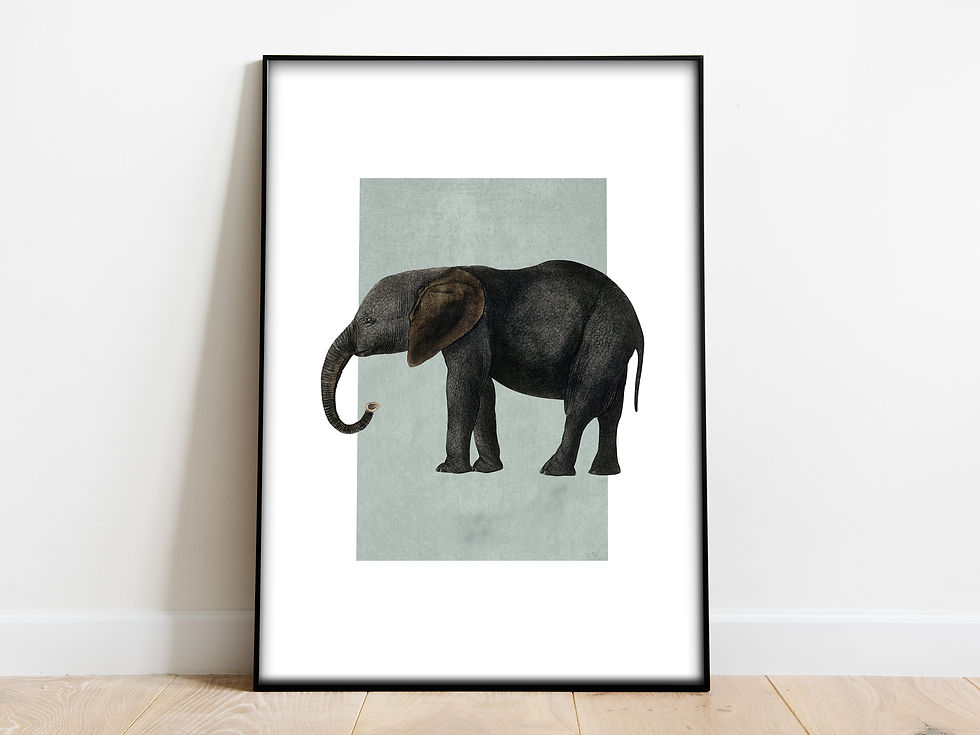 elephant art for sale