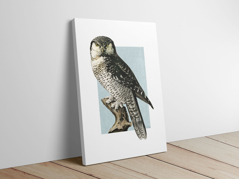 funky canvas artwork for the house