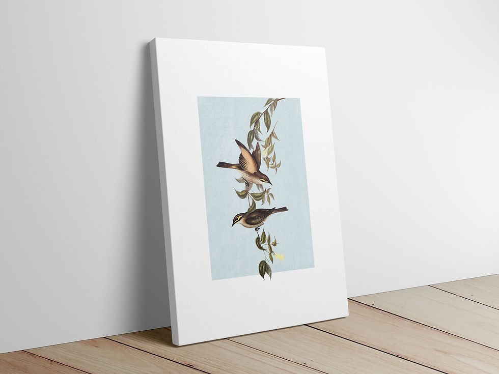 canvas bird painting