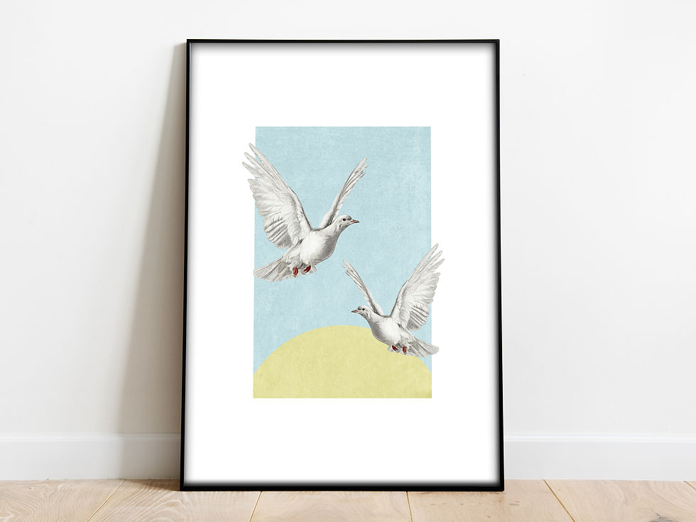 doves art for sale