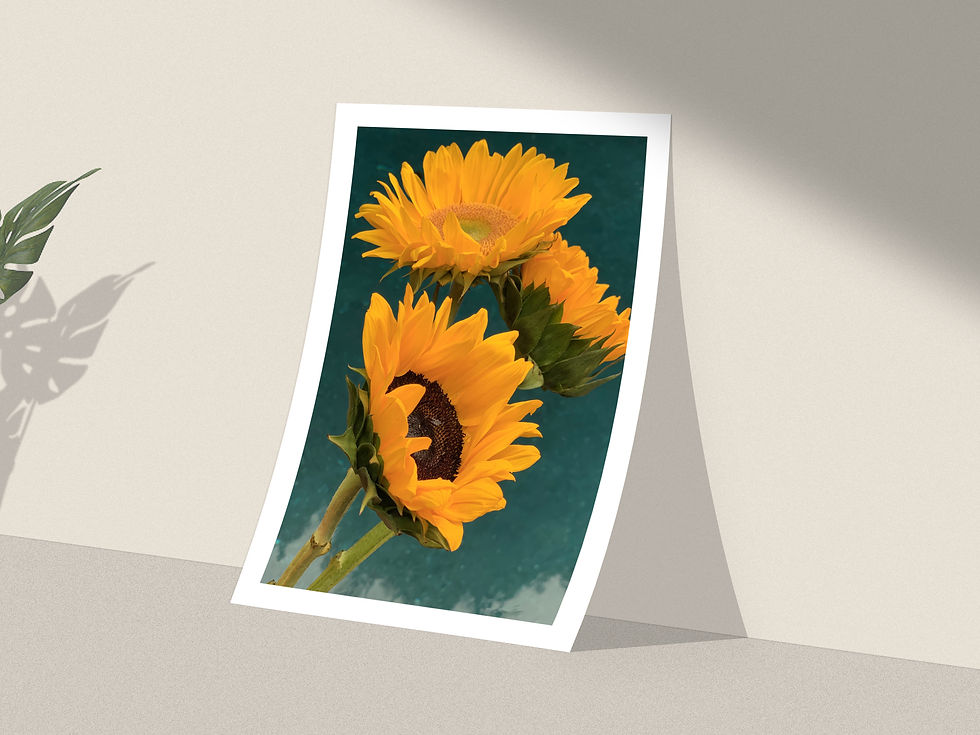 sunflower artwork