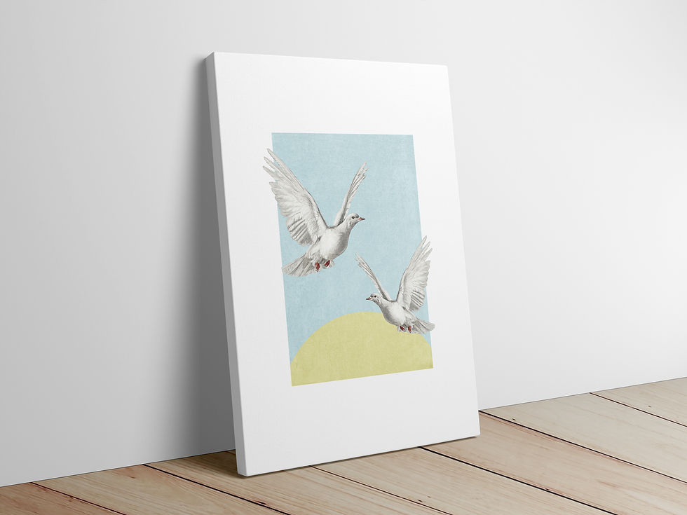 cool doves canvases