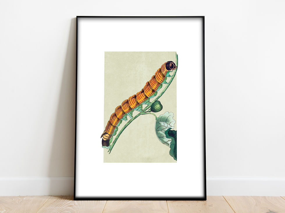 insect art for a restaurant