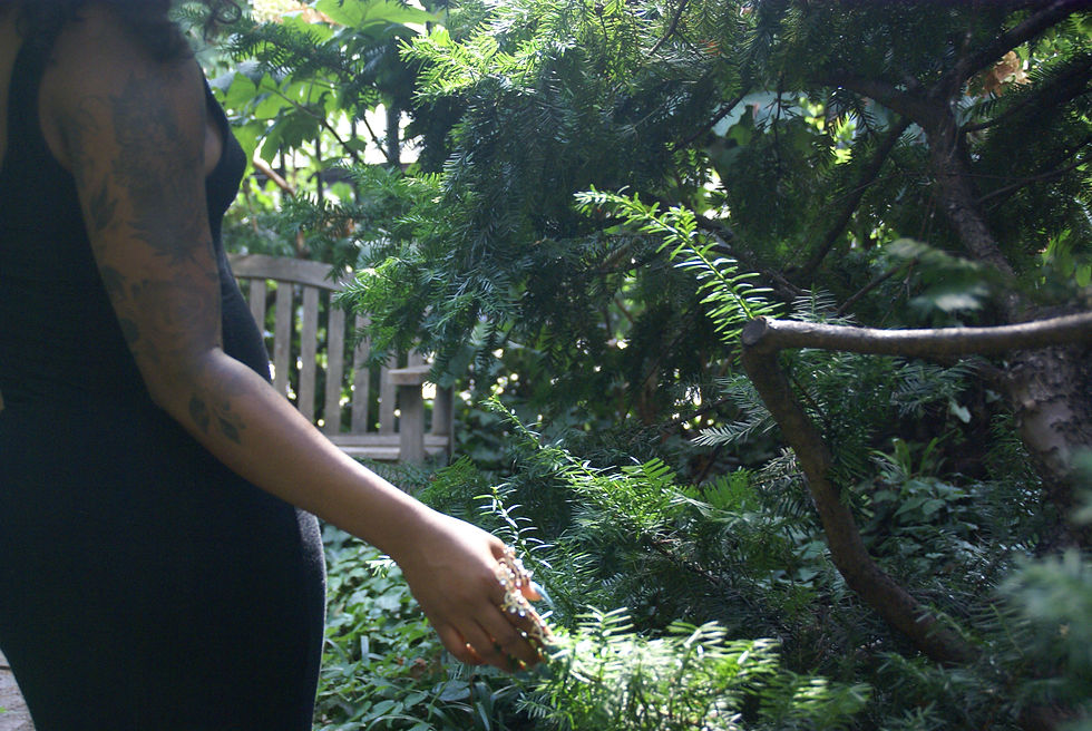 29510365731_f95ec37263_o