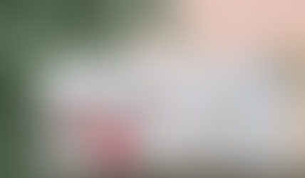 LOUISIANA MAYORAL RACE HEATS UP WITH POSTCARD CONTROVERSY