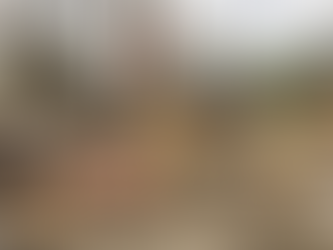 TORNADO DESTROYS GOLDEN FAMILY FARM, NO INJURIES REPORTED